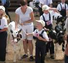 Młody Hodowca - Szepietowo 2012 - 41