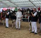 VII Ogólnopolska Wystawa Bydła Hodowlanego - 23