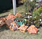 Fotoreportaż z XX Agro-Targów 2011 w Starej Łubiance