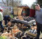 Fotoreportaż z XX Agro-Targów 2011 w Starej Łubiance