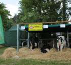 XX Targi Rolnicze Lubniewice 