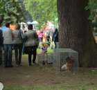 XX Targi Rolnicze Lubniewice 