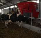 Ursus c385 + paszowóz Metal-Fach akcja pasza