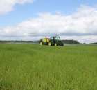 Zielone Agro Show Kąkolewo - Polskie Zboża  - 49