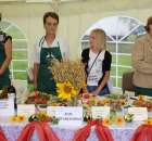 IX Święto Gęsi w Biskupcu - 30