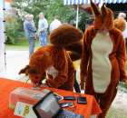 IX Święto Gęsi w Biskupcu - 22