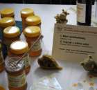 XXII Targi Rolniczo-Ogrodnicze Kościerzyn 2012 - 4