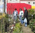 Fotoreportaż z XX Agro-Targów 2011 w Starej Łubiance