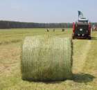 Zielone Agro Show pokaz maszyn rolniczych