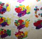 „Owoce w szkole” Samorządowa Szkoła Podstawowa w Kaczanowie