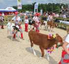 Konkurs Młodego Hodowcy - 24