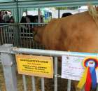 Relacja Foto Agro-Tech Minikowo 2012 - 63