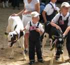 Młody Hodowca - Szepietowo 2012 - 40