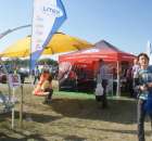 Zdj. - 415 - LITEX ZPH STANISŁAW LITWIN