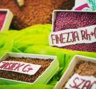 Polagra Premiery 2012 - 50