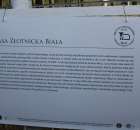 Foto reportaż z Targów Rolno-Ogrodnicze AGROMARSZ Marszew 2011