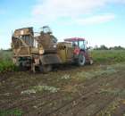 Zetor 5211 i Neptun w akcji;p fota nr2