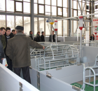 Foto reportaż z Międzynarodowych Targów Hodowli Zwierząt FARMA