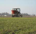 Ciapek w akcji nawóz