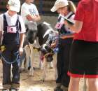 Młody Hodowca - Szepietowo 2012 - 49