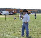 Wypas bydła zdjęcie nr 15