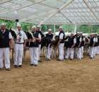 Prezentacja Championów na VII Ogólnopolskiej Wystawie Bydła Hodowlanego w Sielinku 2012 - 10