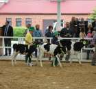 Mali hodowcy Sielinko 2012 - 1