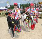 Młodzi hodowcy Opolagra