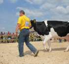 Nagordy dla superchampionów i championów  - 35