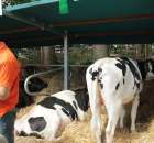 XX Targi Rolnicze Lubniewice