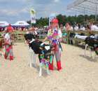 Konkurs Młodego Hodowcy - 19