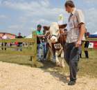 Nagordy dla superchampionów i championów  - 74