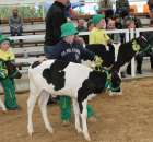 Mali hodowcy Sielinko 2012 - 26