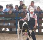 Młody Hodowca - Szepietowo 2012 - 22