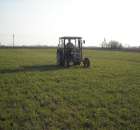 Na tle pięknego żyta