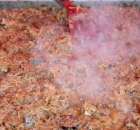 Foto reportaż z Targów Rolno-Ogrodnicze AGROMARSZ Marszew 2011