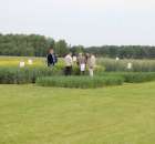 Pokazy Maszyn Polskie Zboża Zielone Agroshow 2012 - 12