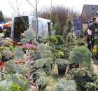 Fotoreportaż z XX Agro-Targów 2011 w Starej Łubiance