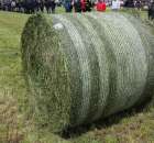 Pokazy Maszyn Polskie Zboża Zielone Agroshow 2012  - 99