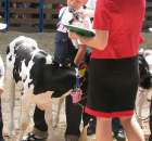 Młody Hodowca - Szepietowo 2012 - 56