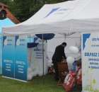 Pierwsze dni indyka w Koźminku