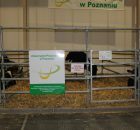 Foto reportaż z Międzynarodowych Targów Hodowli Zwierząt FARMA