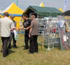 Polnet - Opolagra 2012 - 5