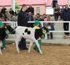 Mali hodowcy Sielinko 2012 - 9