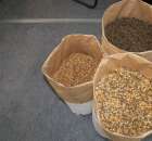 Fotoreportaż  z XI Międzynarodowych Targów Fermy Bydła