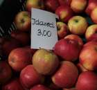 Fotoreportaż z XI Międzynarodowych Targów Fermy Bydła