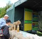 VII Ogólnopolska Wystawa Bydła Hodowlanego - 93