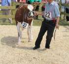 Nagordy dla superchampionów i championów  - 40