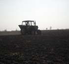 Siew nawozu na rzepak;)