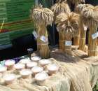 Polskie Zboża 2011 - Sobota